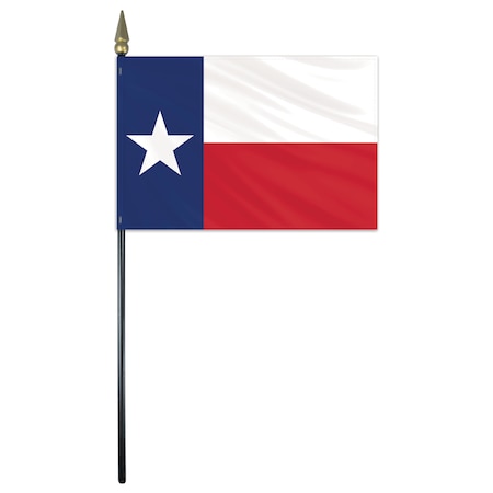 Texas Stick Flag 4x6 E Gloss